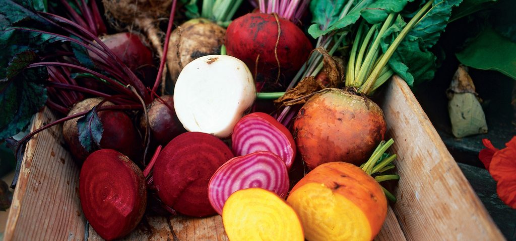 Schools and Gardening